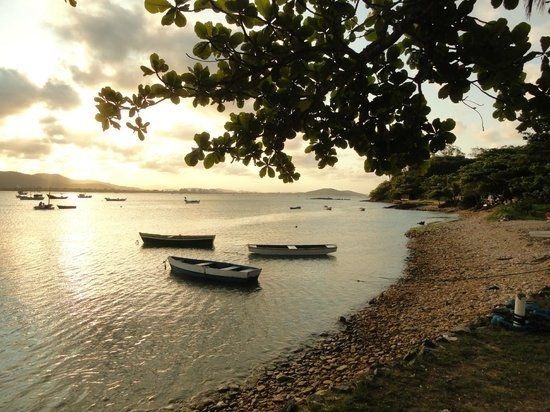 Barcos ancorados na enseada da Praia do Cascalho, em Penha, ao entardecer, emoldurados por uma árvore