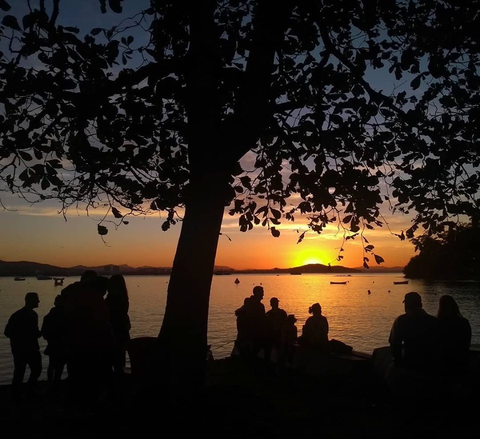 Sol se pondo sobre a enseada, emoldurado por uma árvore, na Praia do Cascalho em Penha