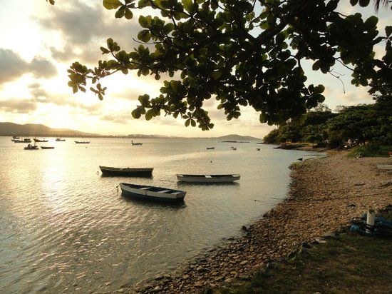 Barcos ancorados na enseada da Praia do Cascalho, em Penha, ao entardecer, emoldurados por uma árvore
