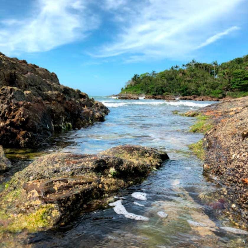 Piscinas naturais entre os costões rochosos da Praia do Bananal, em Penha, com água cristalina e mata ao fundo